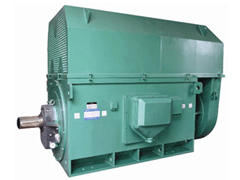 东湖Y系列6KV高压电机